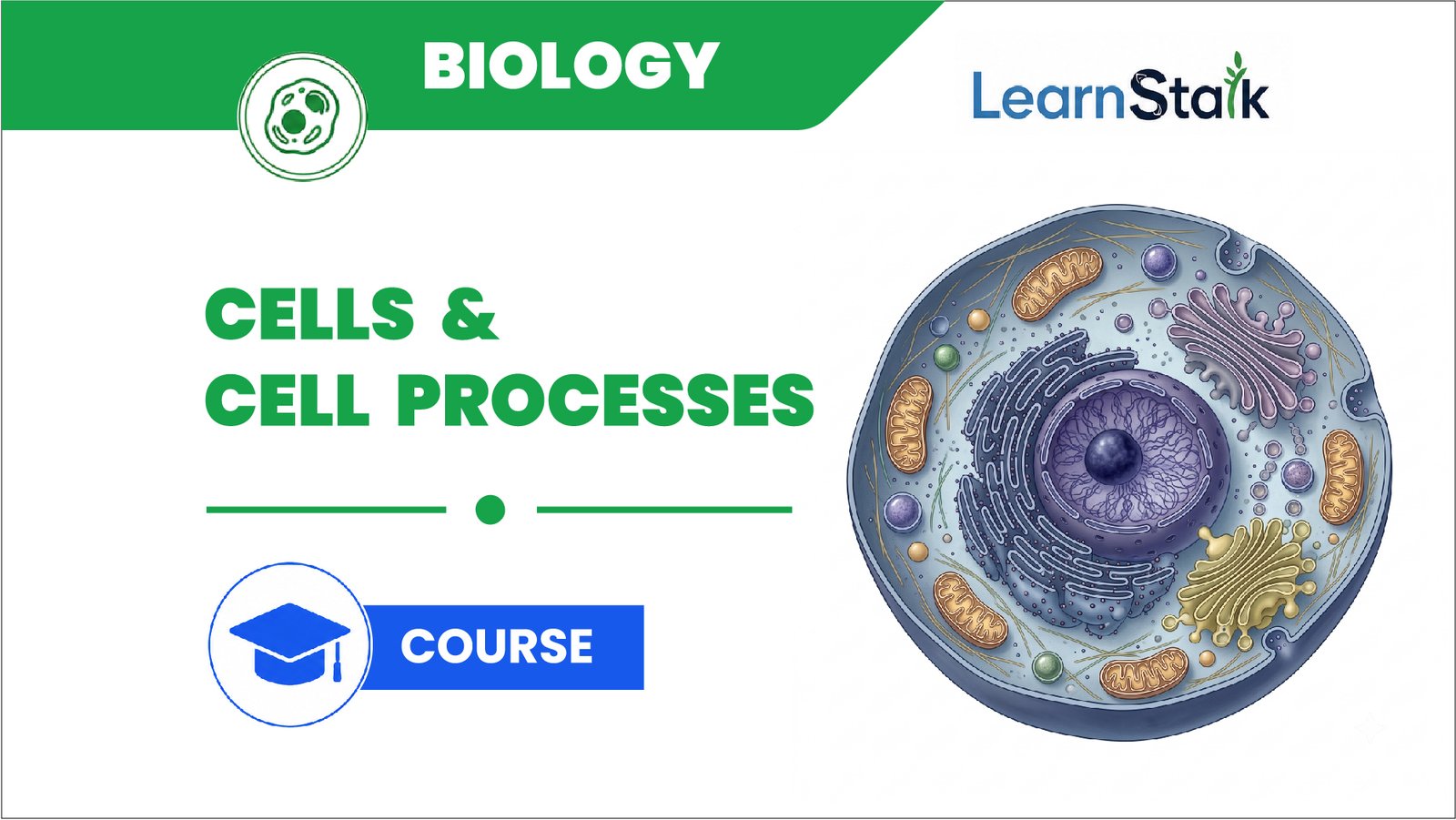 Cells & Cell Processes
