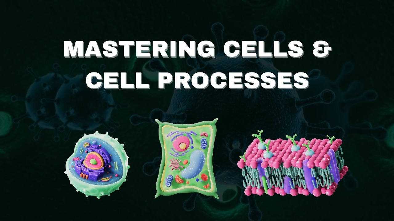 Mastering cells and process