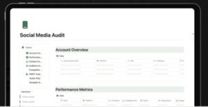 Social Media Growth Audit for Small Businesses