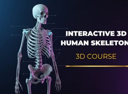 Interactive 3D Human Skeleton for IGCSE & Cambridge Biology