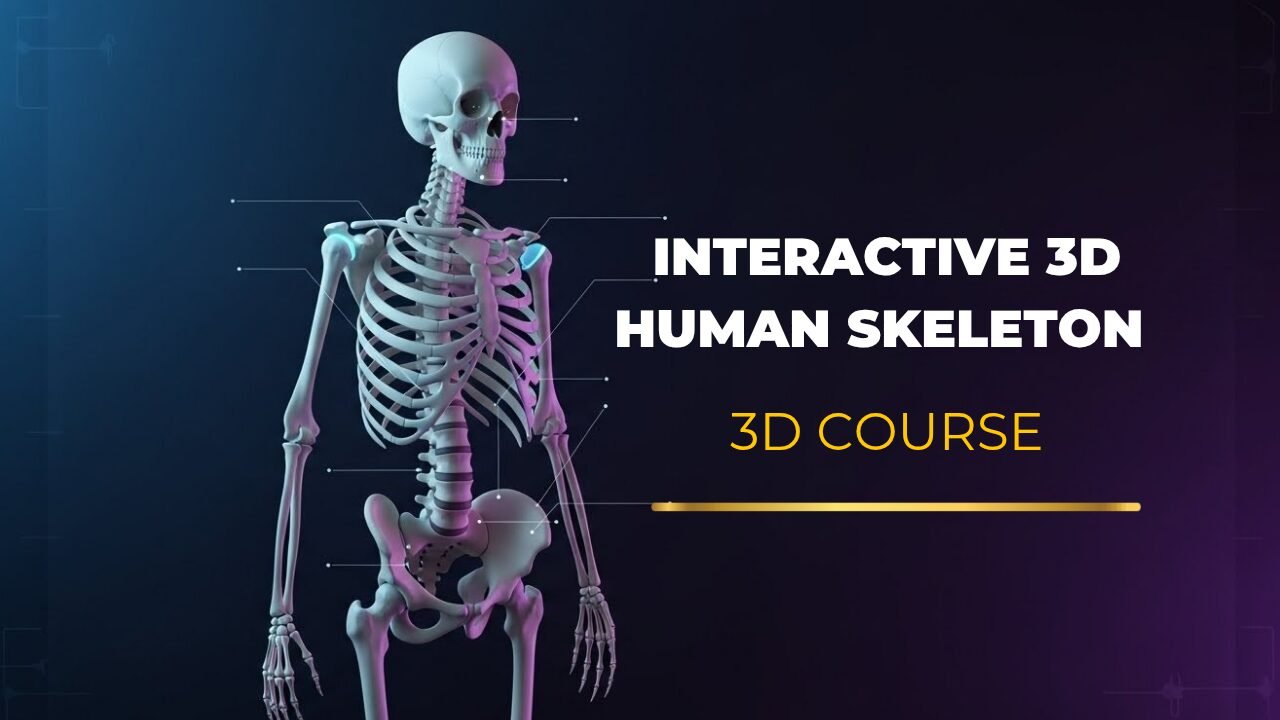 3d human skeleton