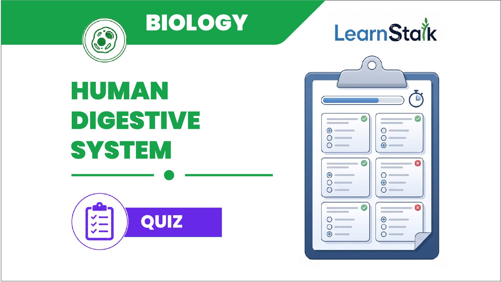 Human Digestive System Practice Quiz