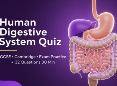 Human Digestive System Practice Quiz