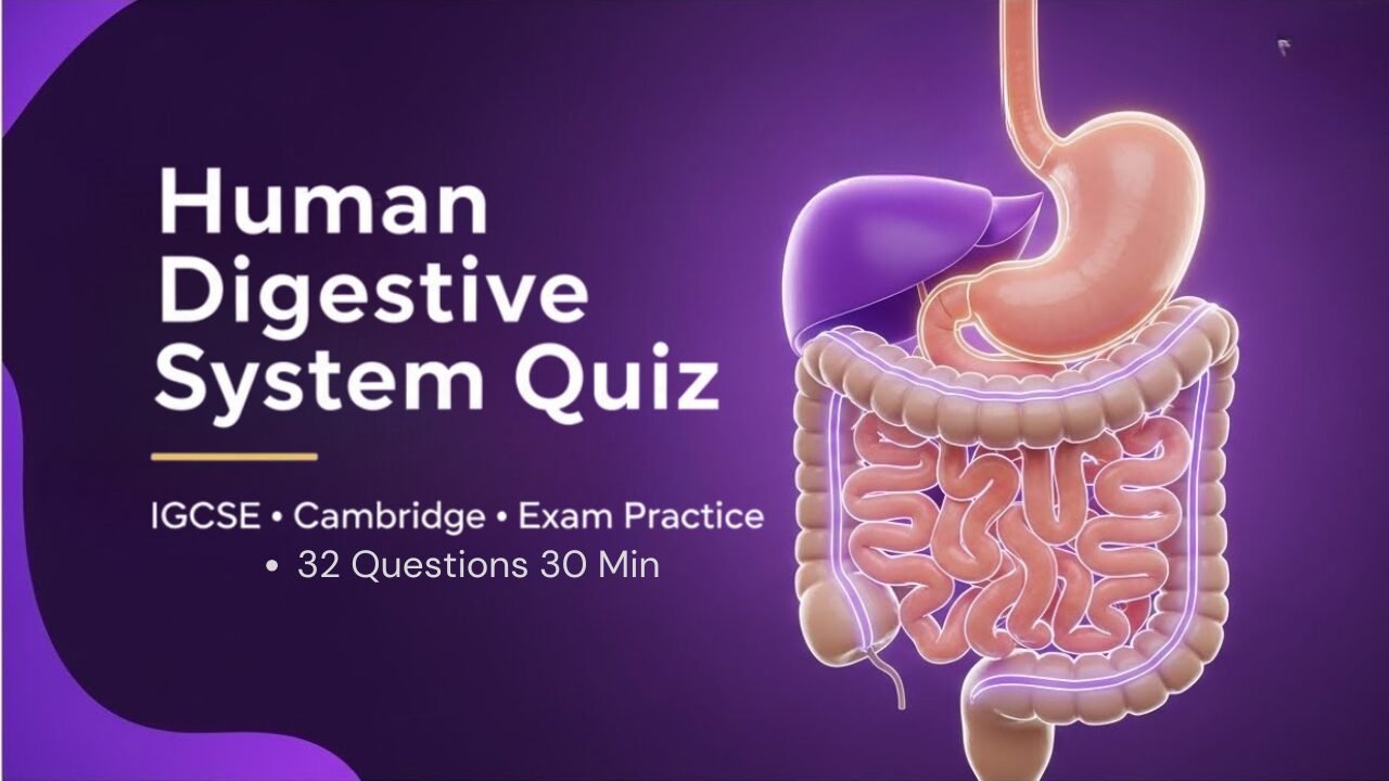 Human digestive system quiz