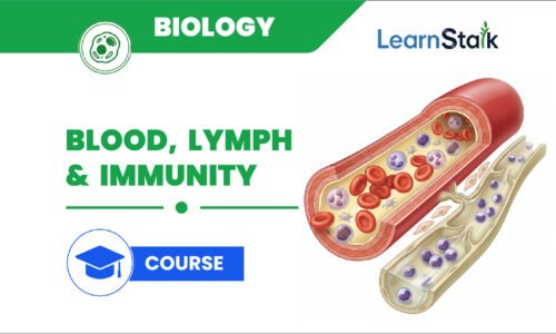 course thumbnail