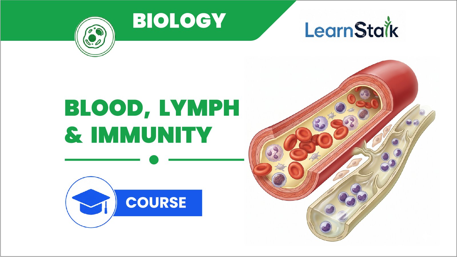 Blood, Lymph & Immunity Blood, Lymph & Immunity