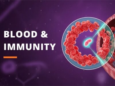 Blood, Lymph & Immunity