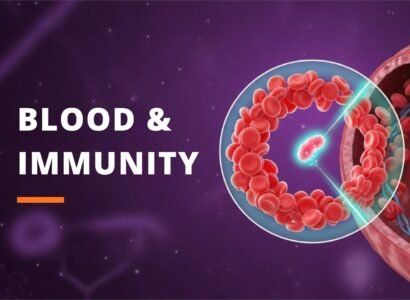 Blood, Lymph & Immunity
