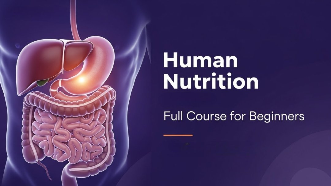 Human nutrition course