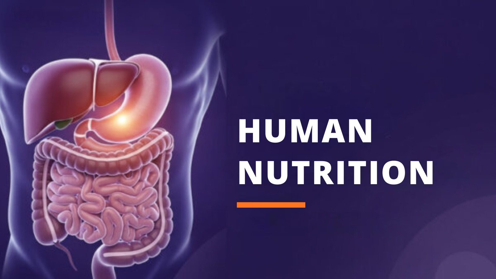 Human nutrition