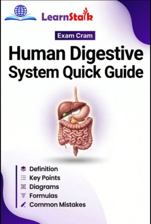 Human Digestive System Quick Guide