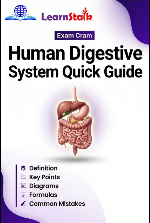 Human Digestive System Quick Guide