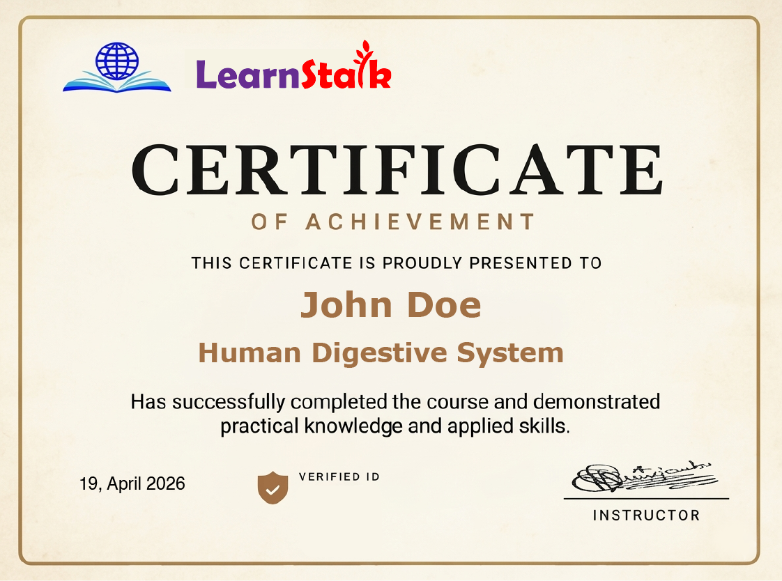 human digestive system