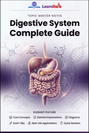 Digestive System Complete Guide