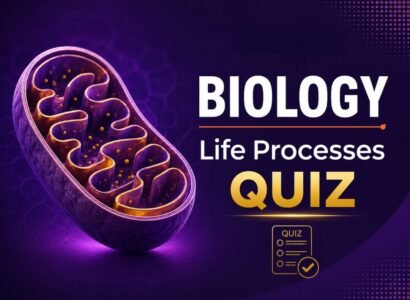 Life Processes, Metabolism & Energy Quiz