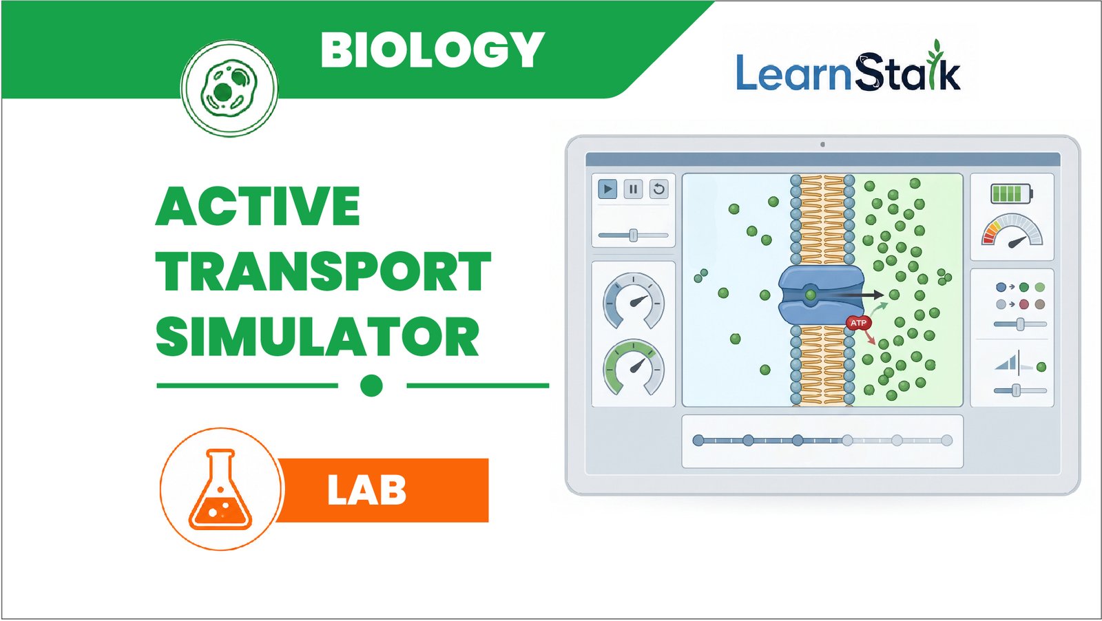 Active Transport Simulator Active Transport Simulator