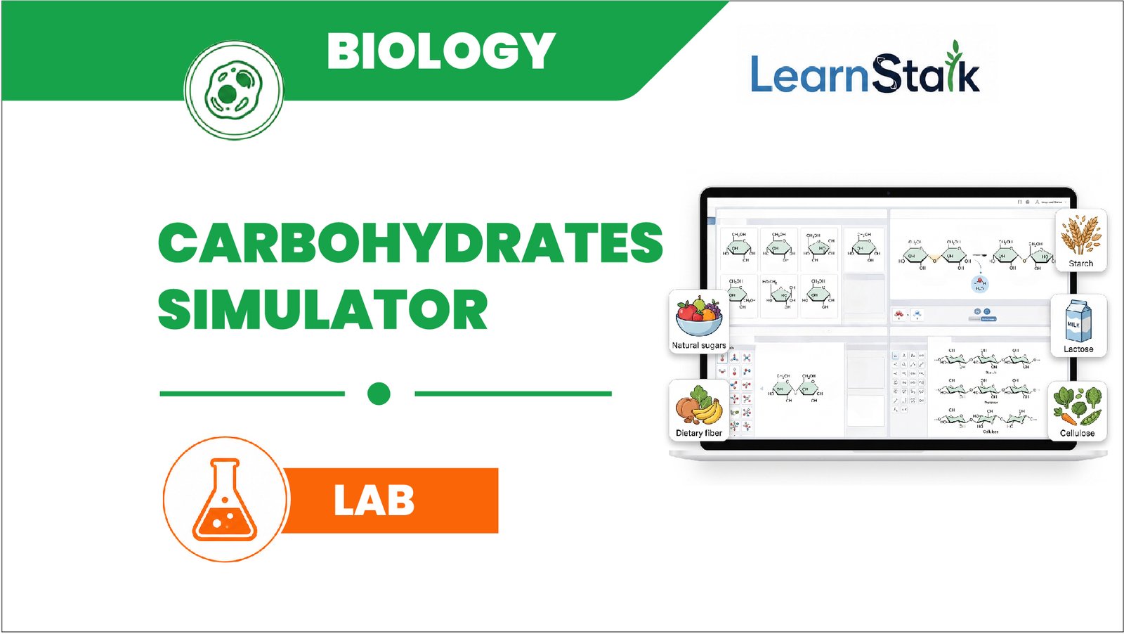 Carbohydrates Simulator Carbohydrates Simulator