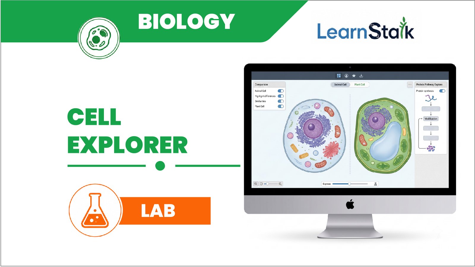 Cell Explorer Cell Explorer